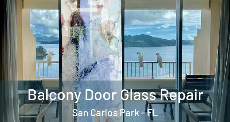 Balcony Door Glass Repair San Carlos Park - FL