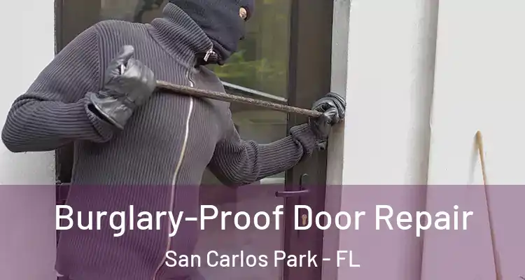 Burglary-Proof Door Repair San Carlos Park - FL