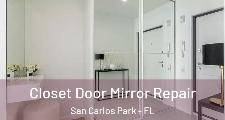  Closet Door Mirror Repair San Carlos Park - FL