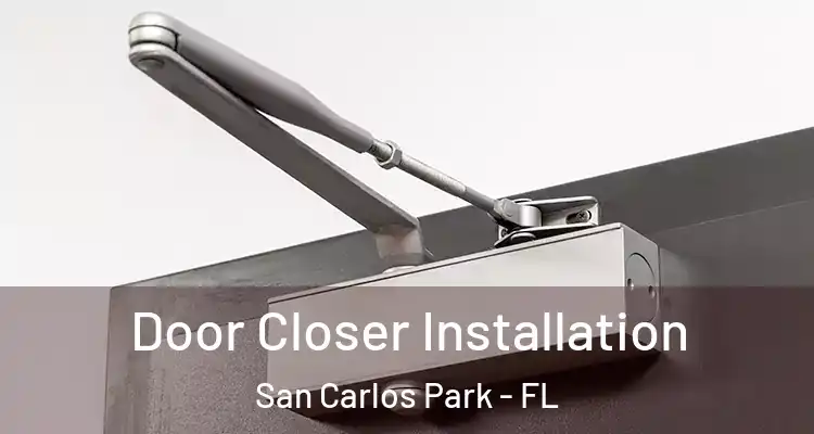  Door Closer Installation San Carlos Park - FL
