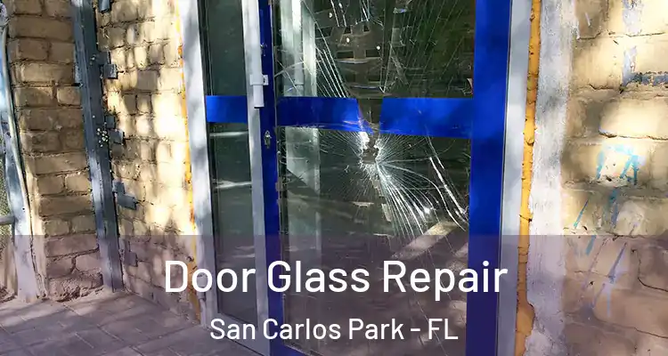  Door Glass Repair San Carlos Park - FL