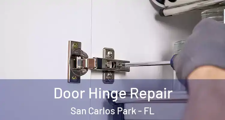  Door Hinge Repair San Carlos Park - FL