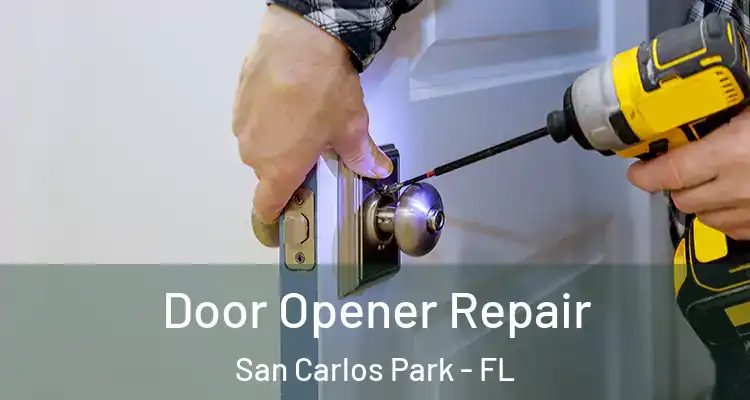  Door Opener Repair San Carlos Park - FL