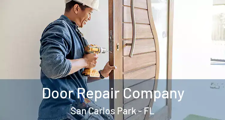  Door Repair Company San Carlos Park - FL