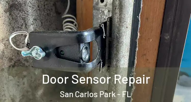  Door Sensor Repair San Carlos Park - FL