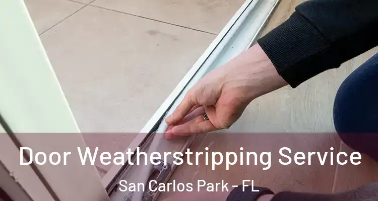  Door Weatherstripping Service San Carlos Park - FL