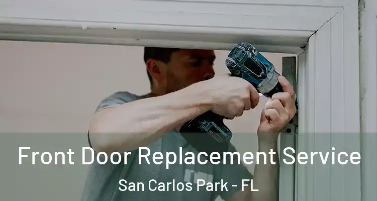  Front Door Replacement Service San Carlos Park - FL