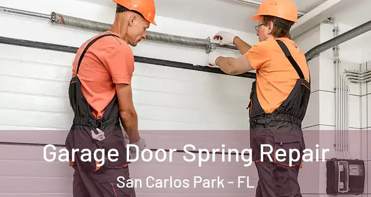  Garage Door Spring Repair San Carlos Park - FL