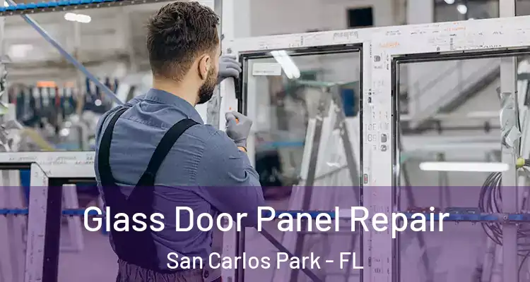  Glass Door Panel Repair San Carlos Park - FL