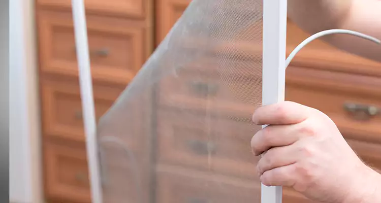 Privacy Mesh Screen Door Installation in San Carlos Park, FL