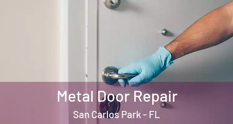  Metal Door Repair San Carlos Park - FL