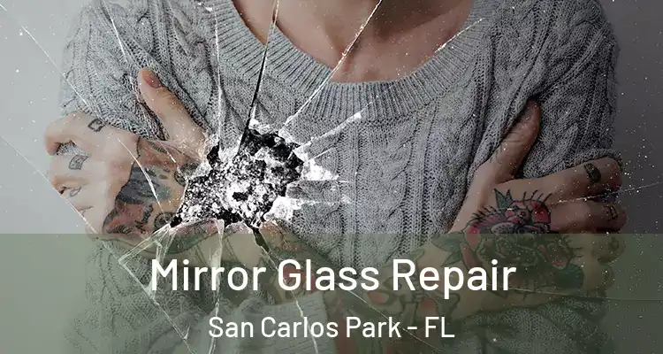  Mirror Glass Repair San Carlos Park - FL