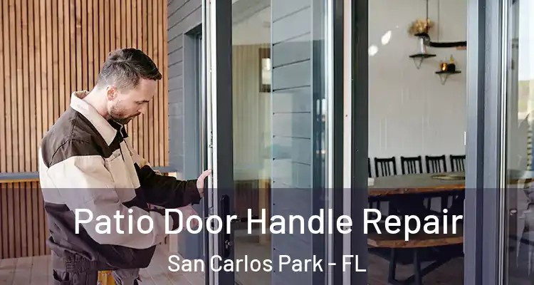  Patio Door Handle Repair San Carlos Park - FL