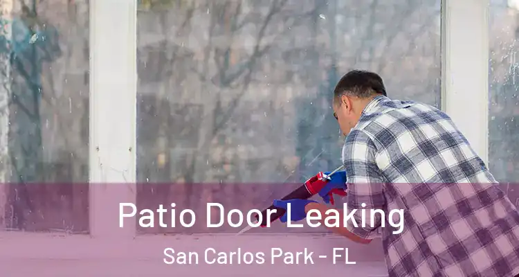  Patio Door Leaking San Carlos Park - FL