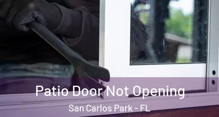  Patio Door Not Opening San Carlos Park - FL