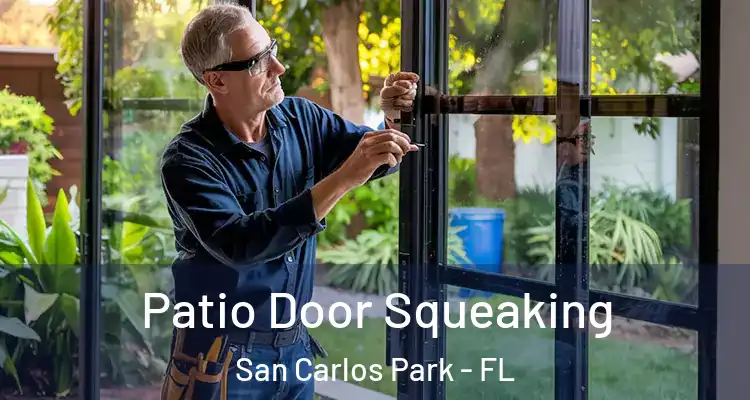  Patio Door Squeaking San Carlos Park - FL