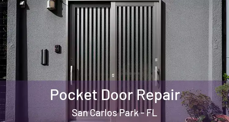  Pocket Door Repair San Carlos Park - FL
