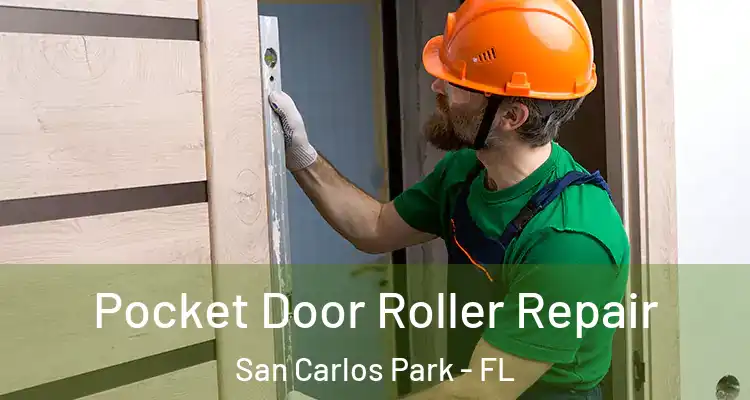  Pocket Door Roller Repair San Carlos Park - FL