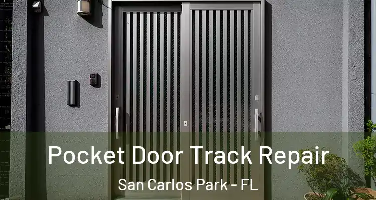 Pocket Door Track Repair San Carlos Park - FL