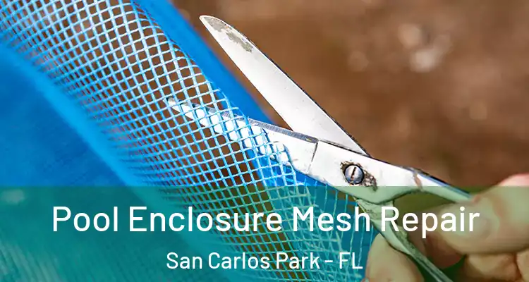  Pool Enclosure Mesh Repair San Carlos Park - FL