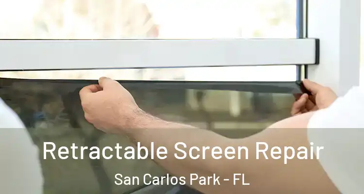 Retractable Screen Repair San Carlos Park - FL