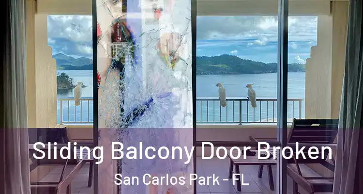  Sliding Balcony Door Broken San Carlos Park - FL