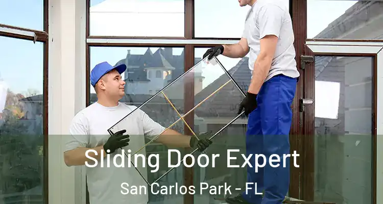  Sliding Door Expert San Carlos Park - FL