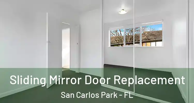  Sliding Mirror Door Replacement San Carlos Park - FL