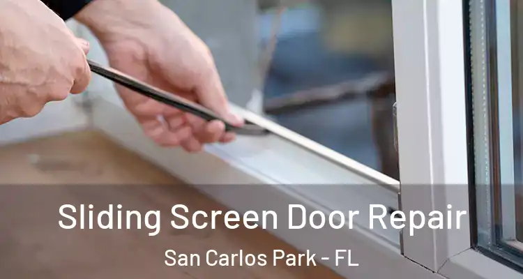  Sliding Screen Door Repair San Carlos Park - FL