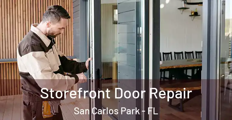  Storefront Door Repair San Carlos Park - FL