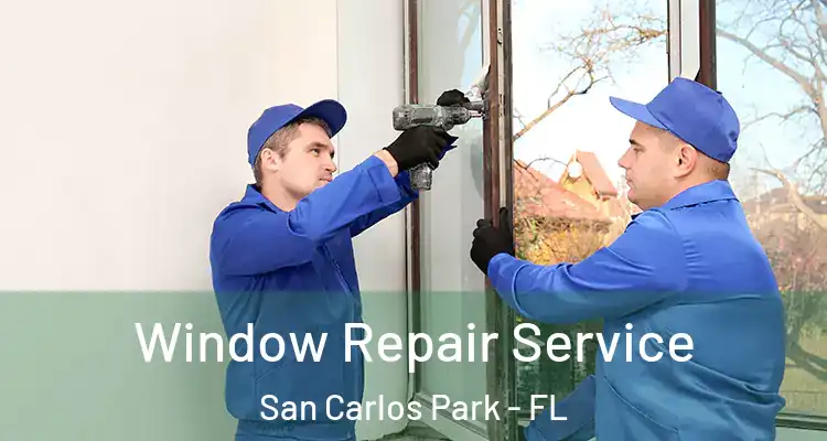  Window Repair Service San Carlos Park - FL